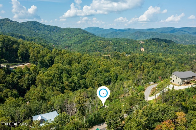 birds eye view of property with a mountain view