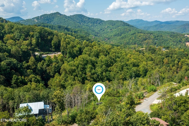 bird's eye view featuring a mountain view