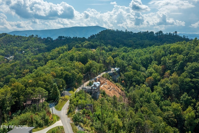 birds eye view of property featuring a mountain view