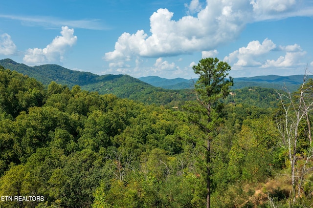 property view of mountains