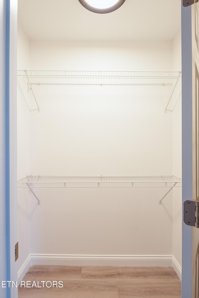 spacious closet with wood-type flooring