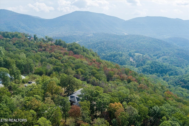 property view of mountains