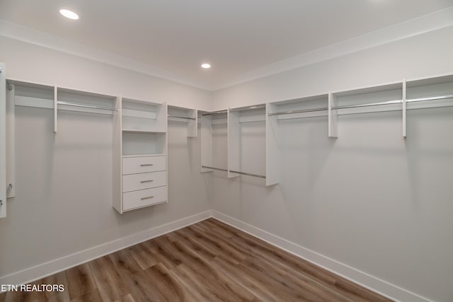 spacious closet featuring wood finished floors