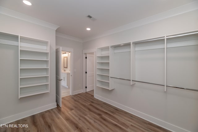 spacious closet featuring visible vents, a sink, and wood finished floors