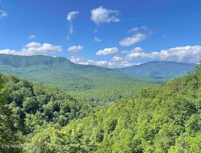 property view of mountains