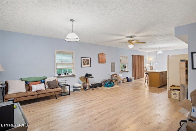 living room featuring ceiling fan, light wood-type flooring, and a textured ceiling