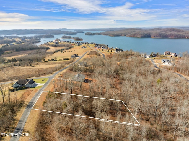 Listing photo 3 for 428 Water View Dr, Rockwood TN 37854