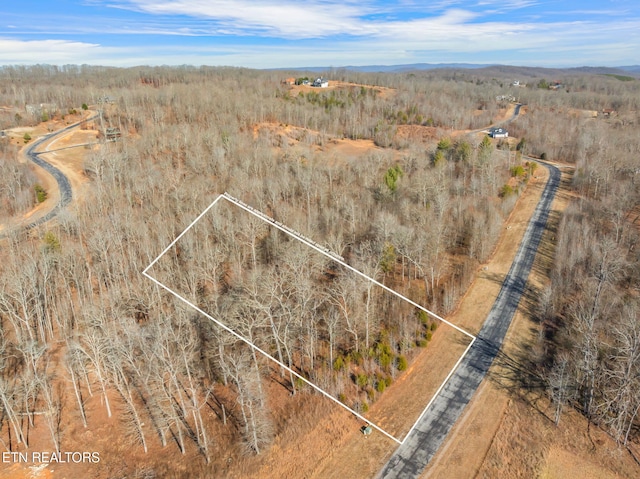 428 Water View Dr, Rockwood TN, 37854 land for sale