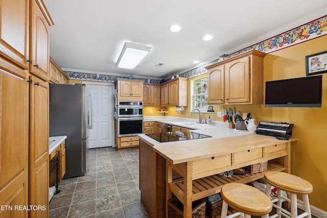 kitchen featuring kitchen peninsula, sink, and stainless steel appliances