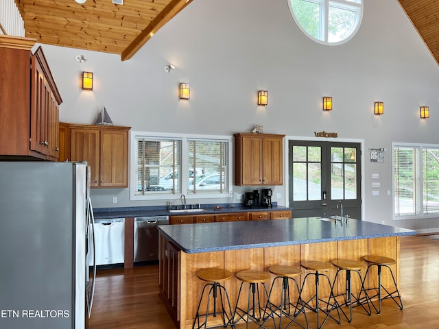 kitchen with appliances with stainless steel finishes, sink, high vaulted ceiling, dark hardwood / wood-style floors, and a kitchen island with sink