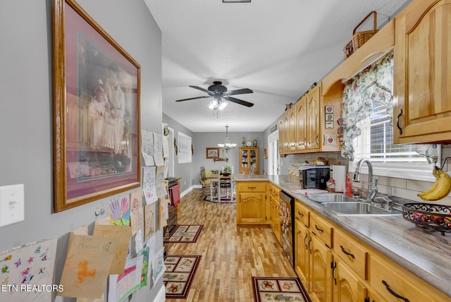 kitchen featuring pendant lighting, ceiling fan with notable chandelier, sink, black dishwasher, and light hardwood / wood-style floors