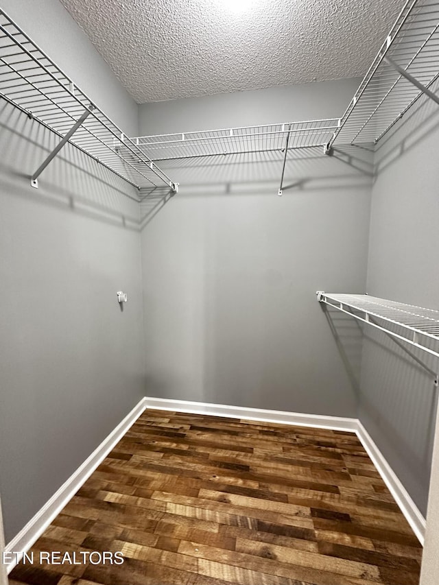 spacious closet featuring wood-type flooring