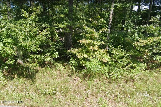 1215 Natchez Ter, Crossville TN, 38572 land for sale