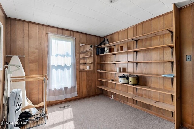 interior space with wooden walls and light carpet