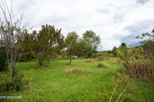 view of nature