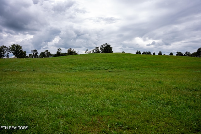 view of local wilderness featuring a rural view