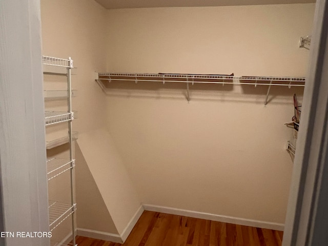 walk in closet with wood-type flooring