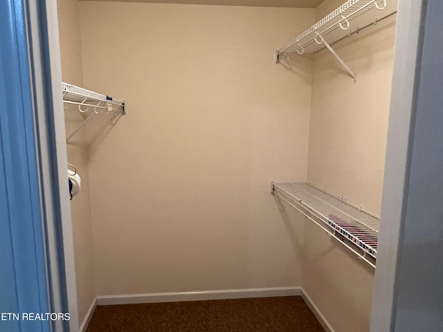 spacious closet with carpet floors