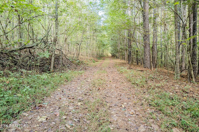 00 O B Davis Rd, Delano TN, 37325 land for sale