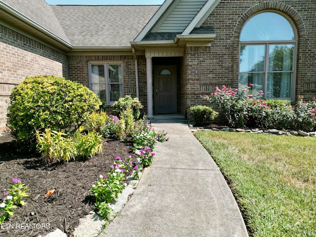 property entrance with a yard