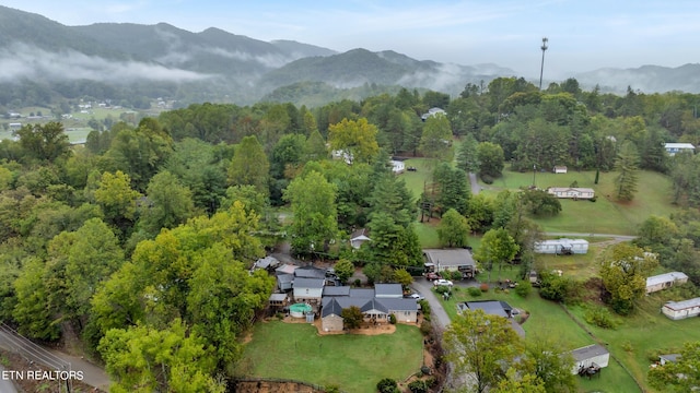 aerial view featuring a mountain view