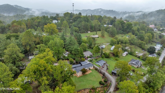 aerial view with a mountain view