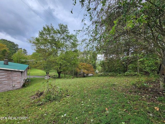 view of yard with a storage unit