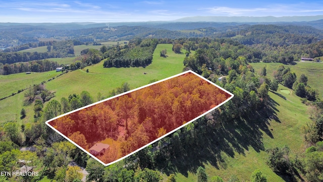 drone / aerial view with a mountain view