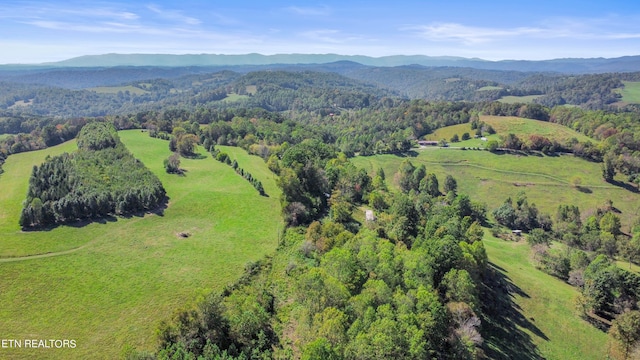 drone / aerial view featuring a mountain view