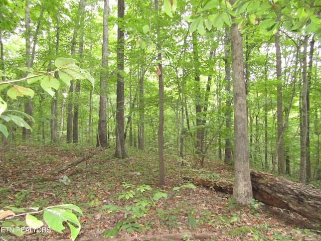 LOT15 Cheyenne Dr, Jamestown TN, 38556 land for sale