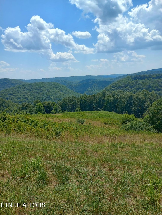 Listing photo 2 for LOT8 King Bend Rd, Cumberland Gap TN 37724