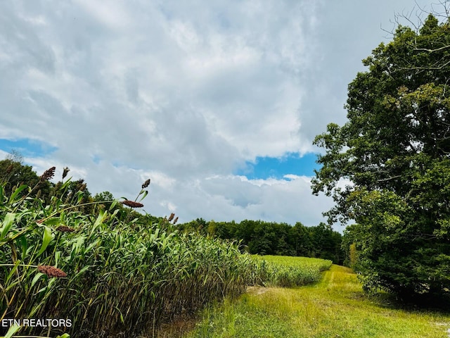 Listing photo 2 for 68ACRES Muddy Pond Rd, Monterey TN 38574