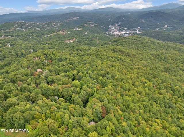 property view of mountains