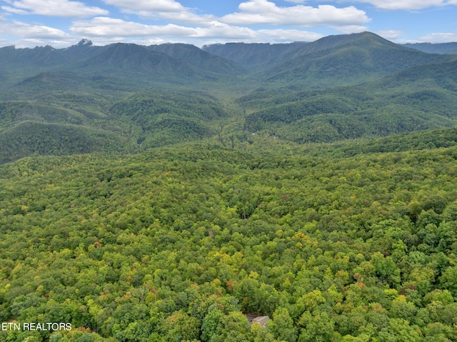 view of mountain feature