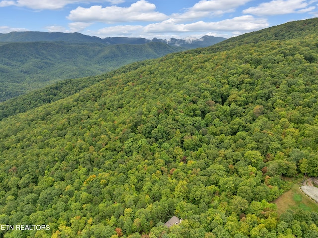 property view of mountains