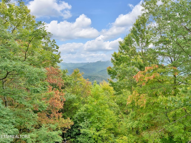 property view of mountains