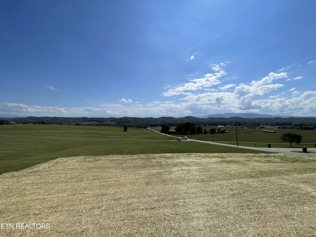 view of home's community featuring a mountain view and a yard