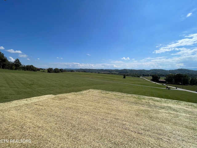 view of yard with a rural view