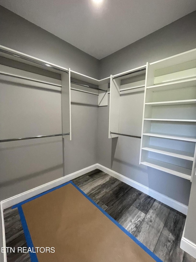 spacious closet with dark wood-style flooring