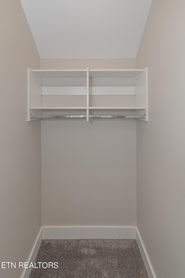 spacious closet with vaulted ceiling and carpet