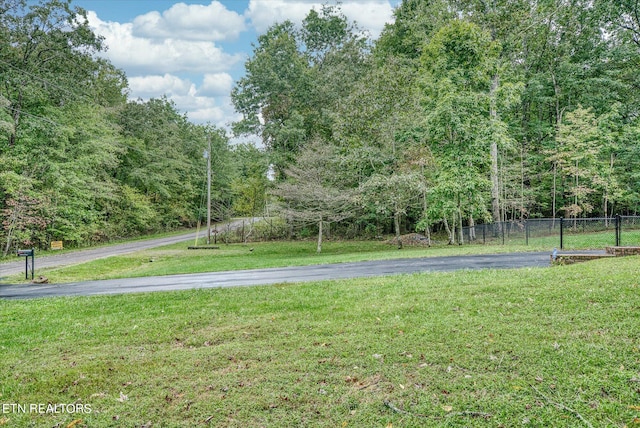 view of community with a yard