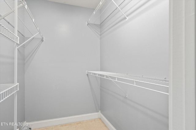 walk in closet featuring carpet flooring