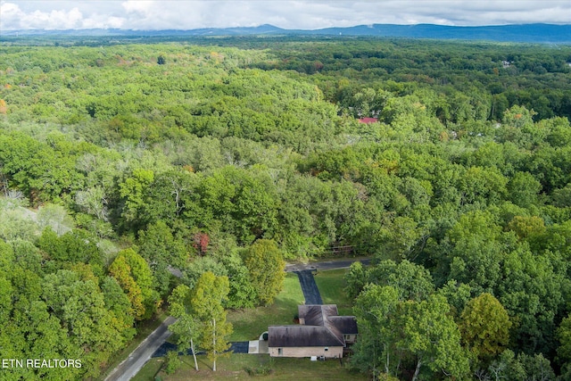 drone / aerial view featuring a mountain view