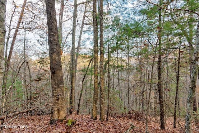 Listing photo 2 for LOT81 Whetstone Rd, Sevierville TN 37862