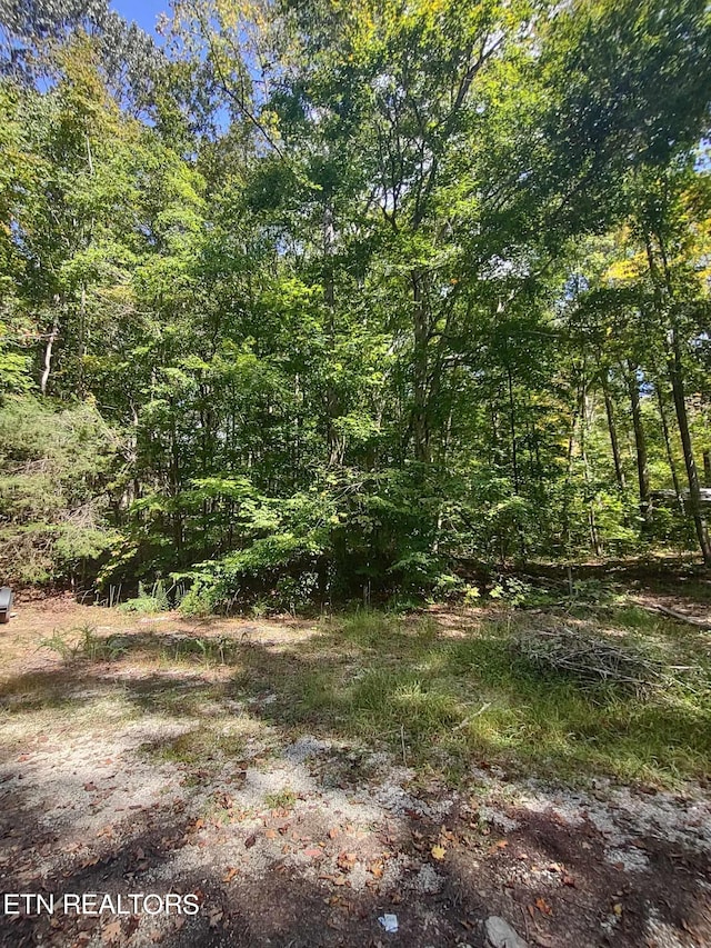 Hueston Wood Ln, Speedwell TN, 37870 land for sale