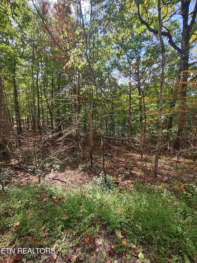 Hueston Wood Ln, Speedwell TN, 37870 land for sale