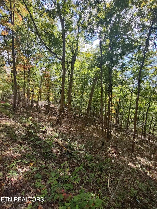 Listing photo 3 for Hueston Wood Ln, Speedwell TN 37870