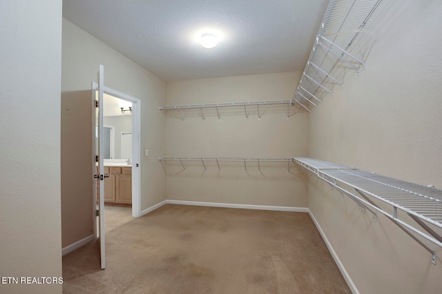 spacious closet featuring light carpet