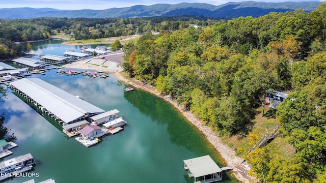 drone / aerial view with a water and mountain view