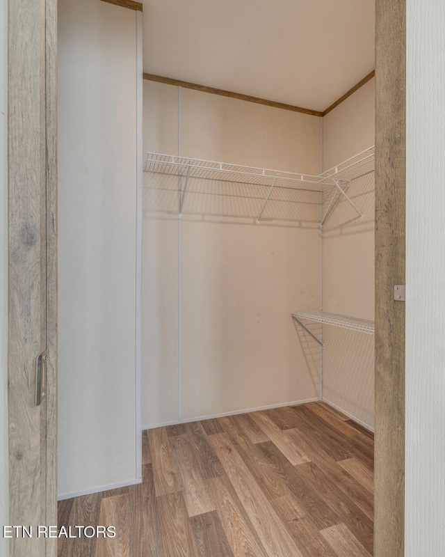 spacious closet featuring hardwood / wood-style floors